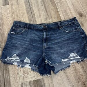 Aerie Blue Denim Shorts